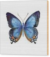 80 Imperial Blue Butterfly Wood Print