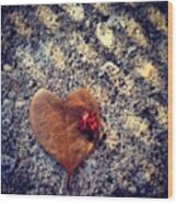 Heart Leaf And Lady Bug Wood Print