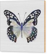 90 Angola White Lady Butterfly Wood Print