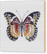 94 Lacewing Butterfly Wood Print