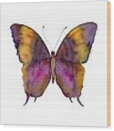 99 Marcella Daggerwing Butterfly Wood Print