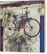 A #bike On A Wall. #street #art #palma Wood Print