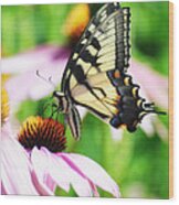 A Deamy Recollection Of A Swallowtail Wood Print
