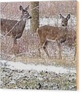 A Dusting On The Deer Wood Print