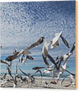 A Flock Of Birds Taking Flight From A Wood Print