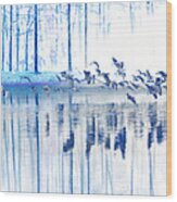 A Flock Of Egrets Wood Print