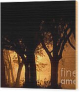 A Grove Of Trees Surrounded By Fog And Golden Light Wood Print