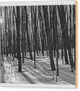 A Long Winter's Day Wood Print