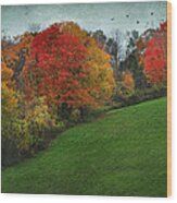 A New England Autumn Wood Print