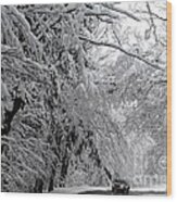 A Snowy Drive Through Chestnut Ridge Park Wood Print
