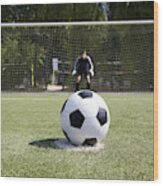 A Soccer Ball On A Soccer Field Wood Print