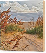 A Splendid Day At The Beach - Outer Banks Wood Print