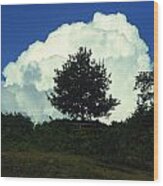 A Tree In A Cloud Wood Print