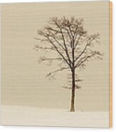 A Tree On A Hill In A Snow Storm Wood Print