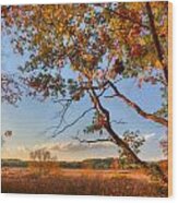 A Trees View Of Autumn On The Marsh Wood Print