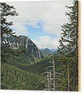 A Vista - Mt. Rainier National Park Wood Print