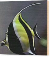 A Yellow, Black, And White Kihikini Fish Wood Print