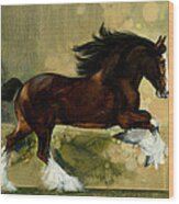 Clydesdale Stallion Wood Print