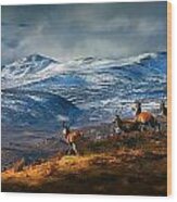 Above Strathglass Wood Print