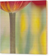 Abstract Tulip Wood Print