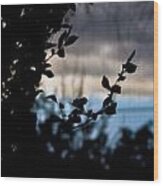 Abstract Window View Wood Print