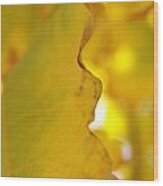 Abstract Yellow And Green Maple Leaf Vii Wood Print