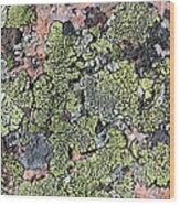 Acadia Granite 13 Wood Print