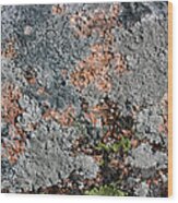 Acadia Granite 25 Wood Print