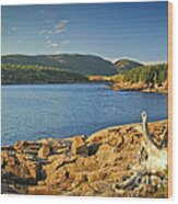 Acadia Otter Cove Wood Print
