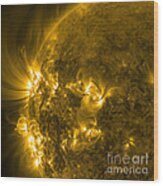 Active Regions Of The Sun Wood Print