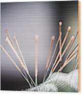 Acupuncture Needles Wood Print