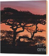 Classic Africa Sunrise Wood Print