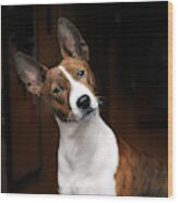 African Brindle Basenji Wood Print