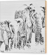 African Elephants Wood Print