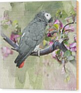 African Gray Among The Blossoms Wood Print
