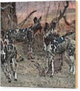 African Hunting Dogs With A Carcas Wood Print