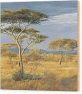 African Landscape Wood Print