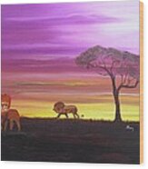 African Lions Wood Print