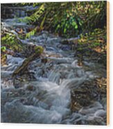 Afternoon Refreshment - Waterfall Art Wood Print