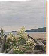 Agawa Bay Wood Print