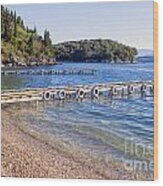 Agni Beach Corfu Wood Print