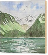Alaska Kenai Fjords Wood Print