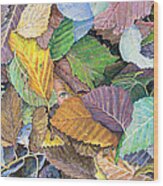 Alder Leaves And Faerie Wood Print