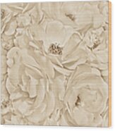 All The White Roses In Sepia Wood Print