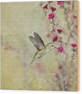 Allen's Hummingbird With Red Wildflowers Wood Print