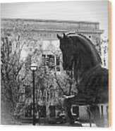 Allentown Pa Lehigh County Court House And Davinci Horse Bw Vig Wood Print