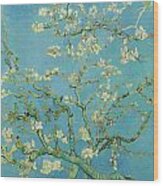 Almond Blossom Wood Print