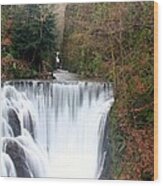 Alva Glen Waterfalls Wood Print