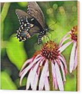 Amazing Butterfly Wood Print