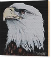 American Bald Eagle Wood Print